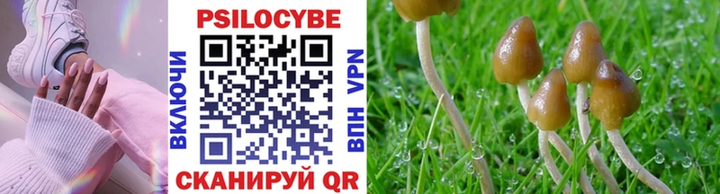 Псилоцибиновые грибы мицелий  Старица 